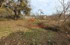 Teren în Breaza - 5