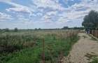 Teren intravilan de 4000 mp, în Ciocănești - 3