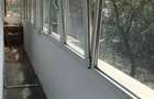 3 cam /PetFriendly  zona Turda/Mihalache - 7