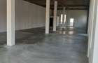Spatiu comercial sau birouri Burdujeni demisol+parter 460 mp. 8E/mp. - 5