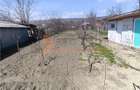 Casa tip parter zona Pietroasele-Saranga - 15