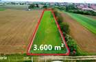 Teren 3.600 m2 in Odoreu | 7 km de Satu Mare | 160 m de Principala