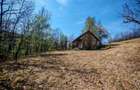Pasune cu padure 5.5 ha sat Dumbravita Com Barzava - 3