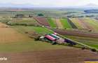 FILM! 18.000 mp, extravilan, agricol+ constructii:ferma,investitii agr - 6