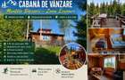 CABANA DE VANZARE Muntele Baisorii, zona Izvoare - 8