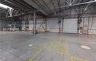 Spatiu Industrial - 6500 mp - Productie - Depozitare - 1