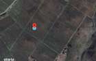 Vie Vanzare Podgoria Dealu-Mare, Boldesti-Scaeni, Prahova - 15,39 ha - 3