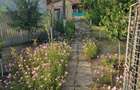 Casa dispunere centrala in OANCEA ! - 1