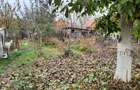 Casa Plopi 200000 euro negociabil - 5