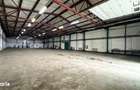 Hala 850mp zona industriala Vest - 5