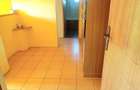 INEL 2 APARTAMENT 2 CAMERE DECOMANDATE 56 MP. RENOVAT PRET 85.000 EURO - 8