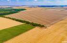 Teren agricol de vanzare- 4,66 Ha - 4