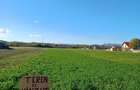 Teren intravilan Bacia, 18 Eur m