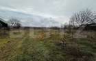 Teren intravilan, 4000 mp, zona Calnic - 4