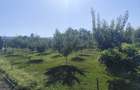 Casă cu Teren 2400 Mp în Vărădia de Mureș - 2