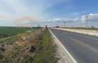 Teren intravilan 10.000 mp | DN | in Zona Volvo - Hala Neagră - 6