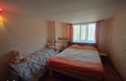 Casa cu gradina si foisor in Brazii Arad - 12