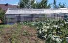 Casa de vanzare, 115 mp, teren 4000 mp, livada, zona Nord