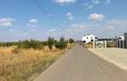 Teren Construcții intravilan de 5000 mp, în Corbeanca - 7