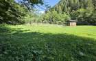 Teren de vanzare com. Borca Sat Borca jud. Neamt - 2