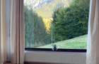Vila la munte Brasov-Zarnesti, teren 2 hectare, Piatra Craiului, Plaiul Foii, Gym, sauna, jacuzzi - 9