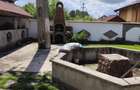 Casa spatioasa cu 800 mp teren, foisor si toate utilitatile, in Bals - 12