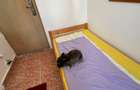 QG268 | 2nd Smallest "Apartment" in Romania? Babu Recomends - 1