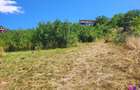 Teren Intravilan 546 mp | Panorama deosebita | PUZ in lucru - 4