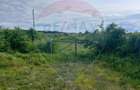 Teren 6,400mp Paulesti / None