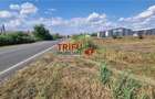 Teren intravilan 5.756 mp cu acces direct la Soseaua de Centura Alba - 4