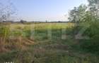 Teren extravilan de vanzare, 5000 mp, zona Viisoara