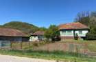 Casă cu 4 camere cu Teren 7247 Mp în Băița - 8