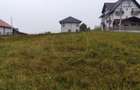 Teren de vanzare in Sovata - 1000 mp / Dealul Mestecanisului