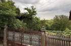 Proprietate de Vanzare In Sat Dalga, Comuna Calopar - 2900mp| Doua Case batranesti + Plantatie de lavanda anul 6 - 6