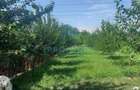 Teren Intravilan | Grigorescu | V5 UTR | deschidere 21 m | 1670mp | de - 1
