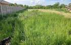 Vand teren intravilan 1438 mp in Denta, jud. Timi? Toate utilita?ile - 3