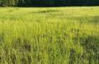 Vand Teren in Stejeris - 0753019211