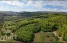 Proprietate exclusiva in inima naturii 13.700 mp cu padure proprie - 2