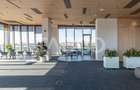 Birouri premium in SibiuSpatii flexibile moderne pentru companii - 5