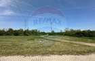 Teren 545,000mp Dragomiresti-Vale - 15