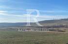 Teren extravilan de vanzare 3.900mp | Mierlau | Bihor - 1