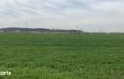 Teren intravilan Magurele 16573 mp - 15 EUR mp - Dubla deschidere - la