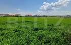 Teren de vanzare intravilan, 72 ari, zona Salcea - 6