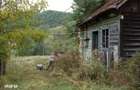 Teren intravilan 1,5 ha cu izvor, iaz si utilitati, Certeju de Jos,