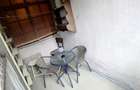 Apartament 2 camere decomandat, 57 mp, ultracentral - 8