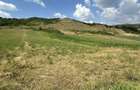 Terenuri intravilane DE VANZARE Strada Lebedei Tarnaveni - 7