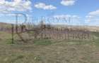 Teren situat in Sopor 5800 mp | Intravilan | Iulius Mall - 1