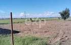 Teren de vanzare Bradu, Arges | 303 mp | 9.900 - 1
