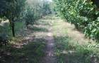 Vand teren 5128 m statiunea Lacu sarat braila - 8