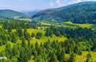 Natura 18.900 mp in Sacele, cu rau si priveliste montana